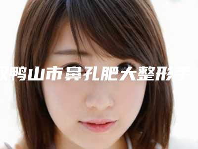 双鸭山市鼻孔肥大整形手术价格收费表人气出炉-双鸭山市鼻孔肥大整形手术均价为6804元