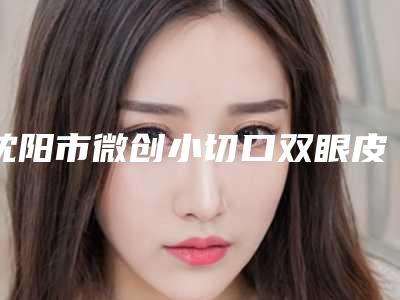 沈阳市微创小切口双眼皮医院排行十强详解-沈阳沈北孙晓莹医疗美容门诊部大咖实力入围
