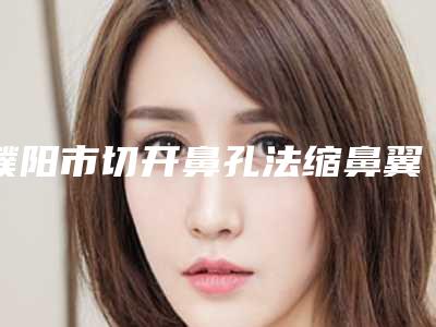 濮阳市切开鼻孔法缩鼻翼完整价格表曝光-近8个月均价为23670元