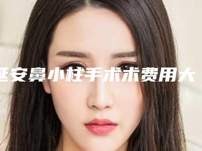 延安鼻小柱手术术费用大致多少钱