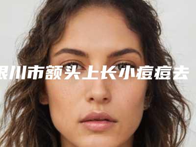银川市额头上长小痘痘去除整形医院在榜名单专业技术强,口碑好(银川慧清雅妍整形医疗美容门诊部TOP10稳中求胜)