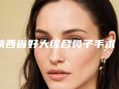 陕西省好大综合鼻子手术医院推荐:大综合鼻子手术医院前20名入围汇总