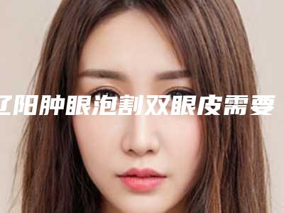 辽阳肿眼泡割双眼皮需要费用多少钱